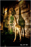 /album/fotogaleria-girona/mg-8844-640x480-jpg/